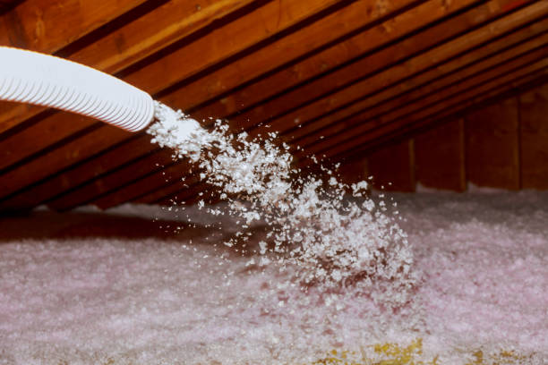 Best Blown-in Insulation in Ester, AK