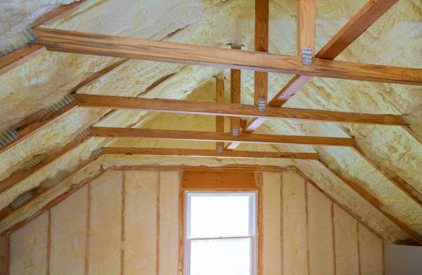Best Specialized Insulation Services in Ester, AK