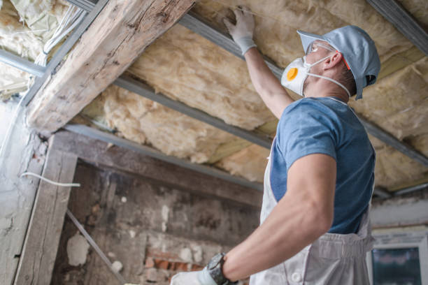 Best Cellulose Insulation in Ester, AK