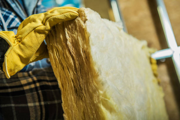 Best Geographic-Specific Insulation Services in Ester, AK