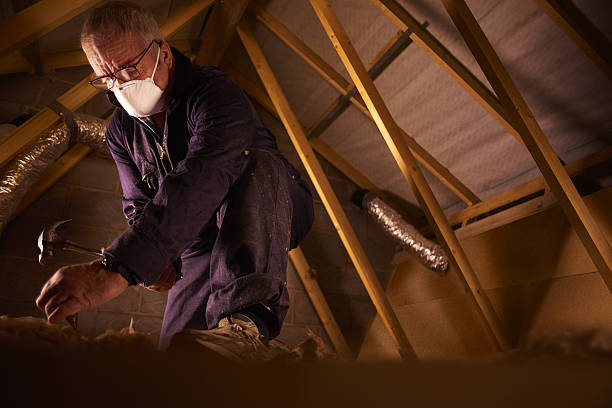 Best Residential Insulation in Ester, AK