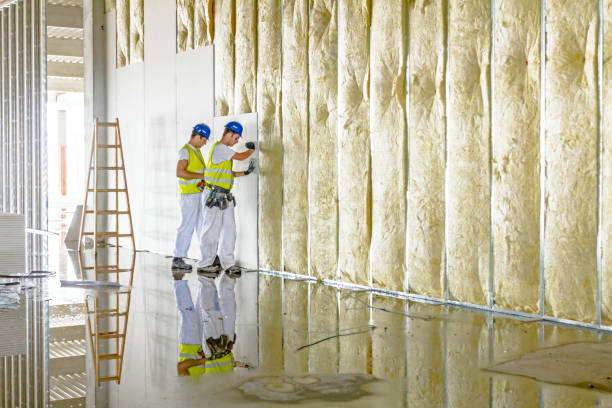 Best Insulation Maintenance and Repair in Ester, AK